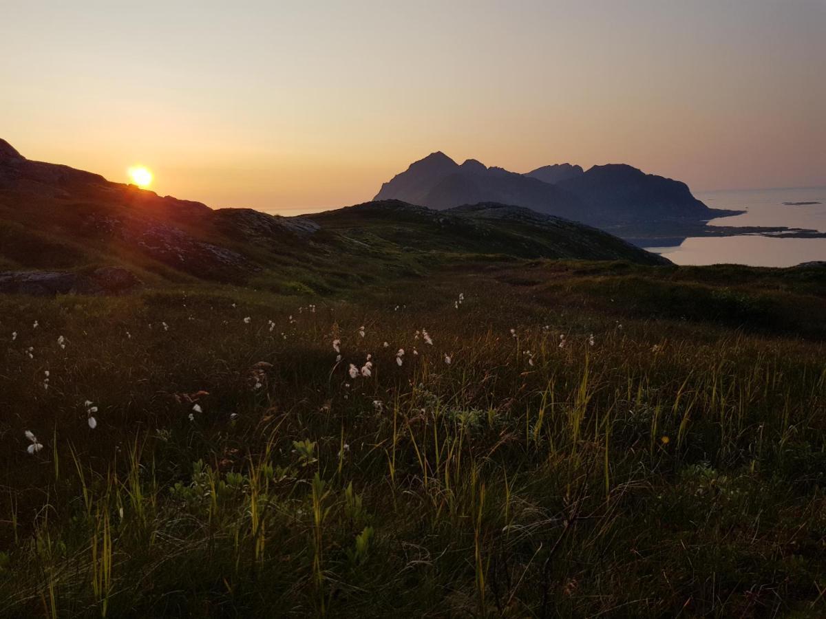 Walter Lofoten With Sauna Kvalnes (Vestvagoy)