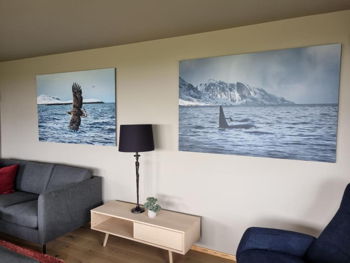 Walter Lofoten With Sauna Villa