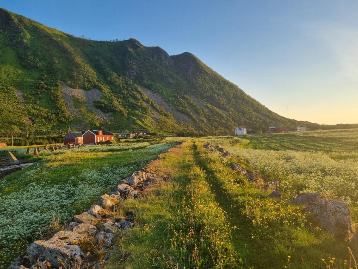 Walter Lofoten With Sauna