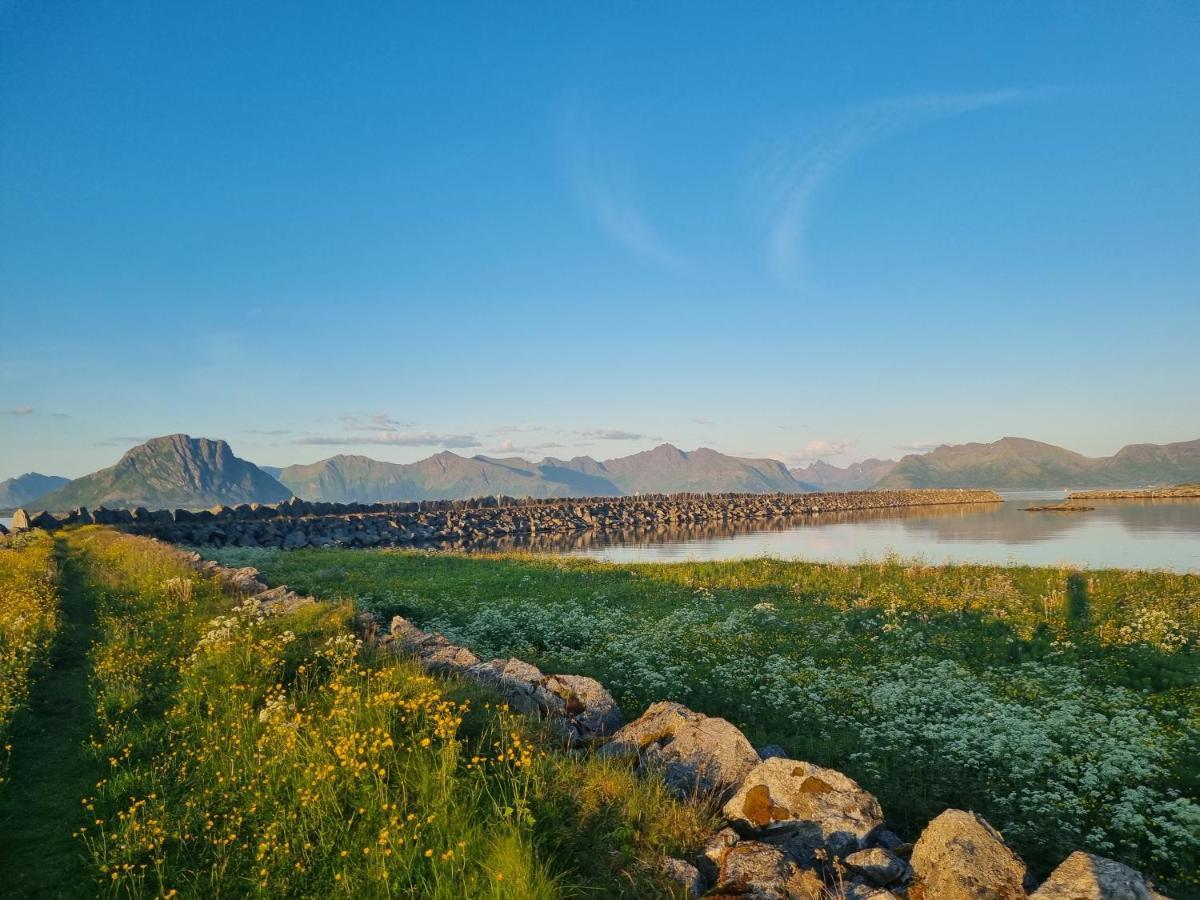 Villa Walter Lofoten With Sauna Kvalnes (Vestvagoy)