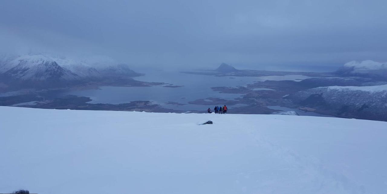 Villa Walter Lofoten With Sauna