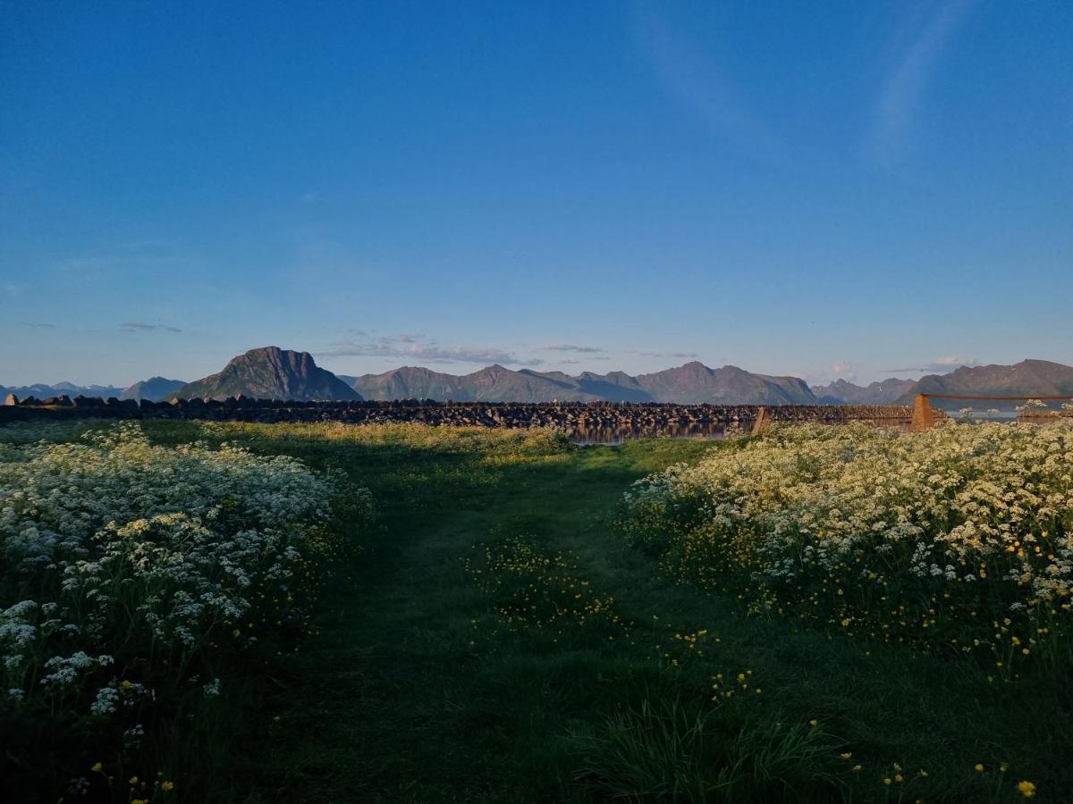 Walter Lofoten With Sauna *