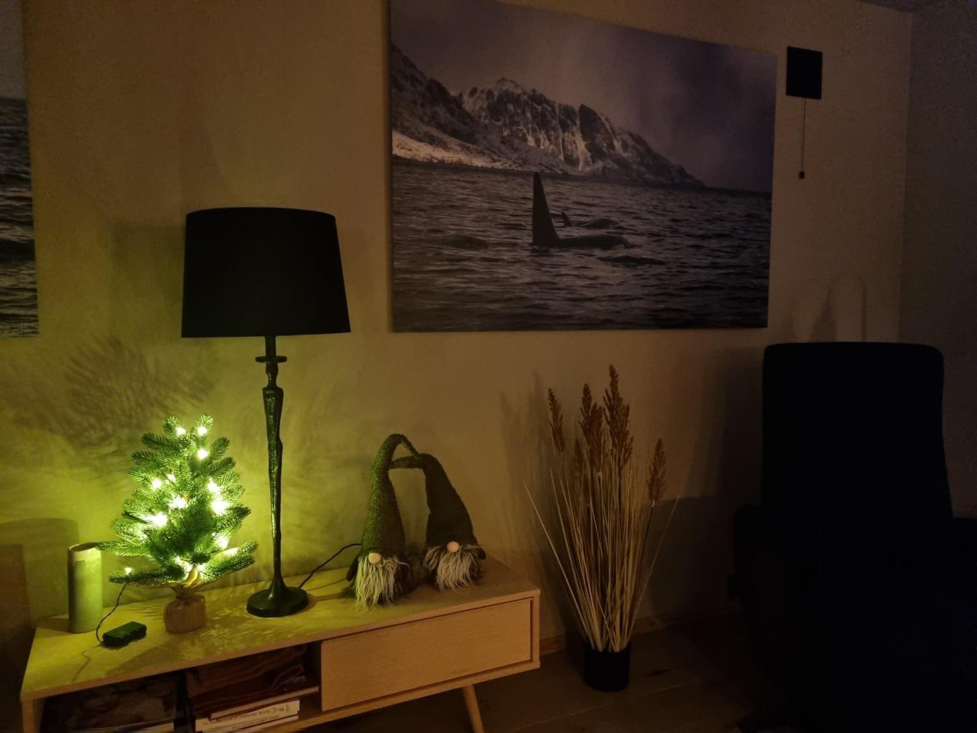 Villa Walter Lofoten With Sauna *